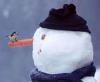 Χιονάνθρωπος με ένα πουλί για την μύτη του